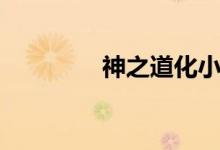 神之道化小说（神之道化）