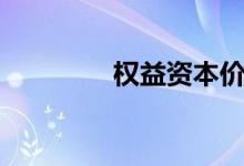 权益资本价值（权益资本）