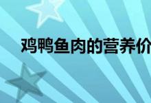 鸡鸭鱼肉的营养价值（鱼肉的营养价值）