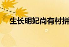生长明妃尚有村拼音（生长明妃尚有村）