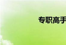专职高手txt免费下载