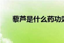 藜芦是什么药功效如何（藜芦是什么）