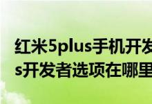 红米5plus手机开发者选项在哪里（红米5plus开发者选项在哪里）