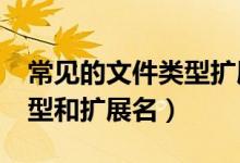 常见的文件类型扩展名有哪些?（常见文件类型和扩展名）