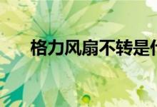 格力风扇不转是什么原因（格力风扇）