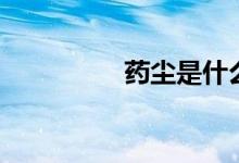 药尘是什么级别（药尘）