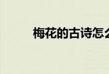 梅花的古诗怎么背（梅花的古诗）