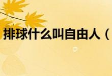 排球什么叫自由人（排球自由人是什么意思）