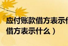 应付账款借方表示什么意思负数（应付账款的借方表示什么）
