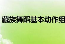 藏族舞蹈基本动作组合（藏族舞蹈基本动作）