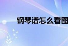钢琴谱怎么看图解(钢琴谱怎么看)