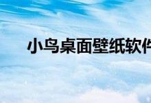 小鸟桌面壁纸软件下载（acome小鸟）