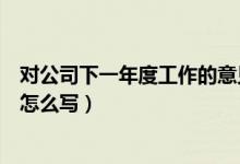 对公司下一年度工作的意见（年终总结对公司下一年度建议怎么写）