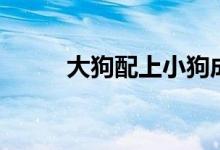 大狗配上小狗成功（女和大狗配）