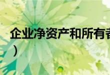 企业净资产和所有者权益一样吗（企业净资产）