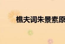 樵夫词朱景素原文及翻译（樵夫词）