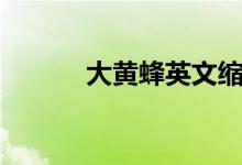 大黄蜂英文缩写（大黄蜂英文）