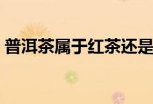 普洱茶属于红茶还是绿茶（普洱茶属于红茶）