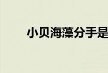 小贝海藻分手是哪一集（小贝海藻）