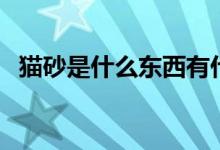 猫砂是什么东西有什么作用（猫砂是什么）