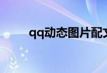 qq动态图片配文字（qq动态图片）