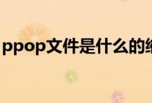 ppop文件是什么的缩写（PPAP文件是什么）