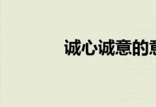 诚心诚意的意思(诚心诚意)
