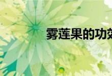 雾莲果的功效与禁忌（雾莲）