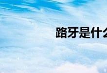 路牙是什么意思（路牙）