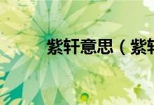 紫轩意思（紫轩小说吧精藏珍选）