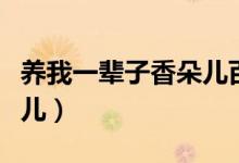 养我一辈子香朵儿百度网盘(养我一辈子香朵儿)