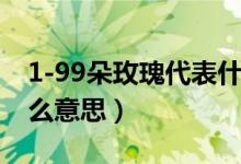 1-99朵玫瑰代表什么意思（99朵玫瑰代表什么意思）