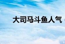 大司马斗鱼人气（司马斗鱼什么意思）