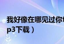 我好像在哪见过你flac（我好像在哪见过你mp3下载）