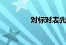 对标对表先进（对标对表）