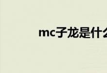 mc子龙是什么电影（mc子龙）
