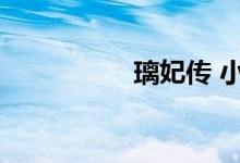 璃妃传 小说（璃妃传）