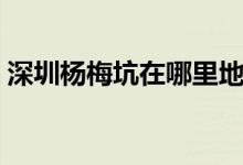 深圳杨梅坑在哪里地址(深圳杨梅坑在哪里)