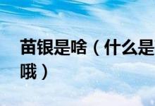 苗银是啥（什么是苗银哦 跟纯银有什么区别哦）