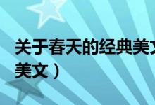 关于春天的经典美文100字（关于春天的经典美文）