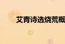 艾青诗选烧荒概括（艾青诗选烧荒）