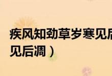 疾风知劲草岁寒见后调造句（疾风知劲草岁寒见后凋）