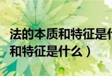 法的本质和特征是什么职位需要考（法的本质和特征是什么）