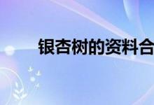 银杏树的资料合集（银杏树的资料）