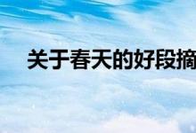 关于春天的好段摘抄（关于春天的好段）