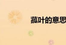 菰叶的意思（菰叶怎么读）