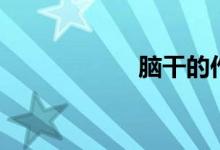 脑干的作用（脑干）