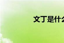 文丁是什么意思（文丁）