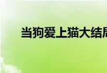 当狗爱上猫大结局（当狗爱上猫漫画）