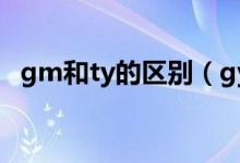 gm和ty的区别（gyts和gyta有什么区别）